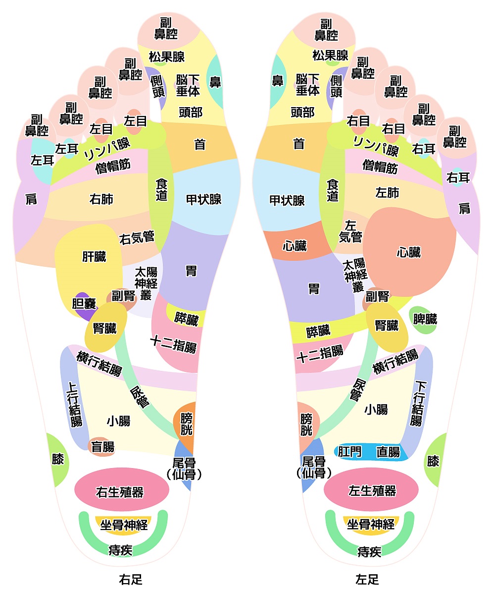 足つぼ図